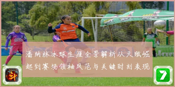 潘纳林冰球生涯全景解析从天赋崛起到赛场领袖风范与关键时刻表现