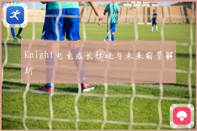 Knight电竞成长轨迹与未来前景解析