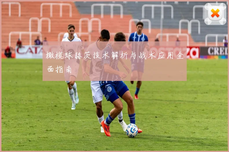 橄榄球赫茨技术解析与战术应用全面指南