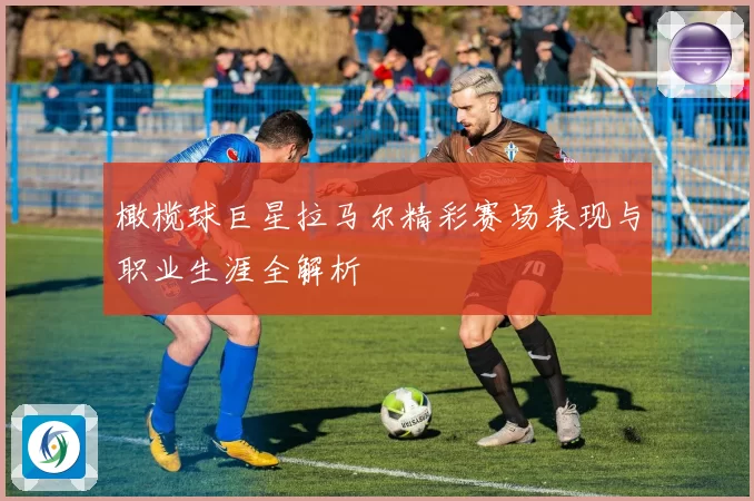 橄榄球巨星拉马尔精彩赛场表现与职业生涯全解析