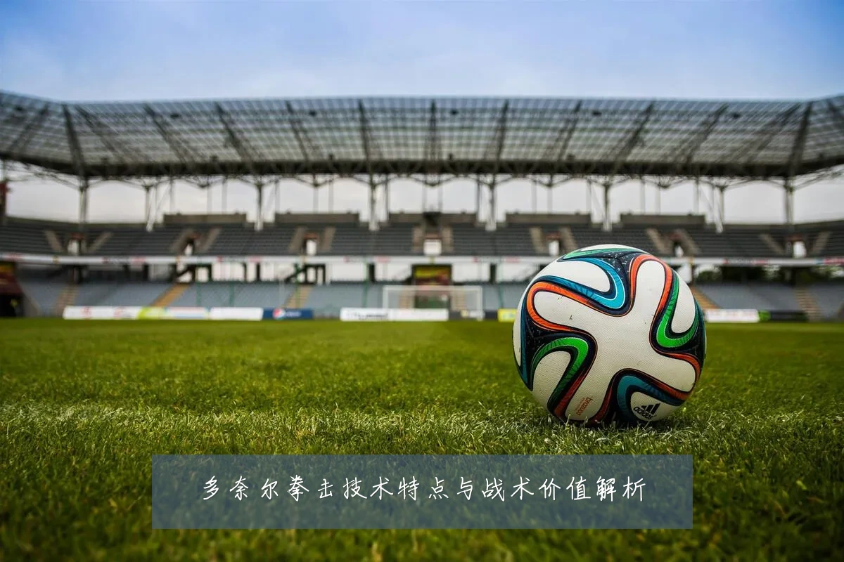 多奈尔拳击技术特点与战术价值解析