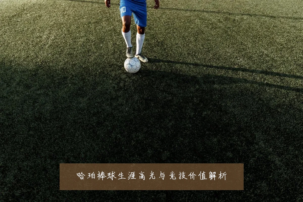 哈珀棒球生涯高光与竞技价值解析